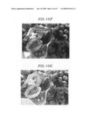 Method and system for 2D image transformation with various artistic effects diagram and image