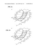 DNA-BINDING POLYMERS diagram and image