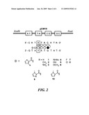 DNA-BINDING POLYMERS diagram and image