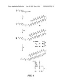 DNA-BINDING POLYMERS diagram and image