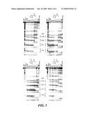 DNA-BINDING POLYMERS diagram and image