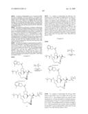 NOVEL MACROCYCLIC INHIBITORS OF HEPATITIS C VIRUS REPLICATION diagram and image