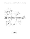 LACTOBACILLUS ACIDOPHILUS NUCLEIC ACIDS AND USES THEREOF diagram and image