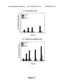 LACTOBACILLUS ACIDOPHILUS NUCLEIC ACIDS AND USES THEREOF diagram and image