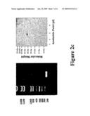 COMPOSITIONS AND METHODS FOR GROWTH OF EMBRYONIC STEM CELLS diagram and image