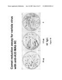 MONOCLONAL ANTIBODIES AGAINST ORTHOPOXVIRUSES diagram and image