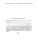 Polypeptide compounds for inhibiting angiogenesis and tumor growth diagram and image