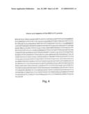 Polypeptide compounds for inhibiting angiogenesis and tumor growth diagram and image