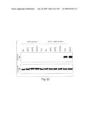 Polypeptide compounds for inhibiting angiogenesis and tumor growth diagram and image