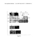 Polypeptide compounds for inhibiting angiogenesis and tumor growth diagram and image