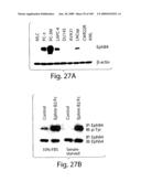 Polypeptide compounds for inhibiting angiogenesis and tumor growth diagram and image