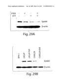 Polypeptide compounds for inhibiting angiogenesis and tumor growth diagram and image