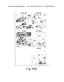 Polypeptide compounds for inhibiting angiogenesis and tumor growth diagram and image