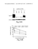 Polypeptide compounds for inhibiting angiogenesis and tumor growth diagram and image