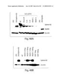 Polypeptide compounds for inhibiting angiogenesis and tumor growth diagram and image