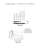 Polypeptide compounds for inhibiting angiogenesis and tumor growth diagram and image