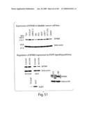 Polypeptide compounds for inhibiting angiogenesis and tumor growth diagram and image