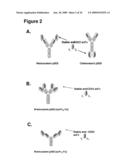 CD23 BINDING MOLECULES AND METHODS OF USE THEREOF diagram and image