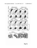 USE OF THYMOSIN ALPHA 1 FOR THE TREATMENT OF IMMUNOLOGICAL DISEASES diagram and image