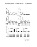 USE OF THYMOSIN ALPHA 1 FOR THE TREATMENT OF IMMUNOLOGICAL DISEASES diagram and image