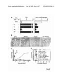 USE OF THYMOSIN ALPHA 1 FOR THE TREATMENT OF IMMUNOLOGICAL DISEASES diagram and image