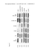 METHOD OF INCREASING IMMUNOLOGICAL EFFECT diagram and image