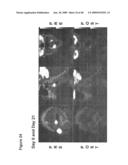 METHOD OF INCREASING IMMUNOLOGICAL EFFECT diagram and image