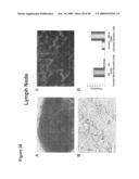 METHOD OF INCREASING IMMUNOLOGICAL EFFECT diagram and image