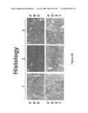 METHOD OF INCREASING IMMUNOLOGICAL EFFECT diagram and image