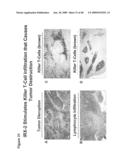 METHOD OF INCREASING IMMUNOLOGICAL EFFECT diagram and image