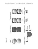 METHOD OF INCREASING IMMUNOLOGICAL EFFECT diagram and image