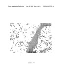 Method for producing hydroxyapatite particles diagram and image