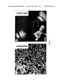 Multicomponent Nanorods diagram and image