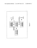 Multicomponent Nanorods diagram and image