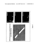 Multicomponent Nanorods diagram and image