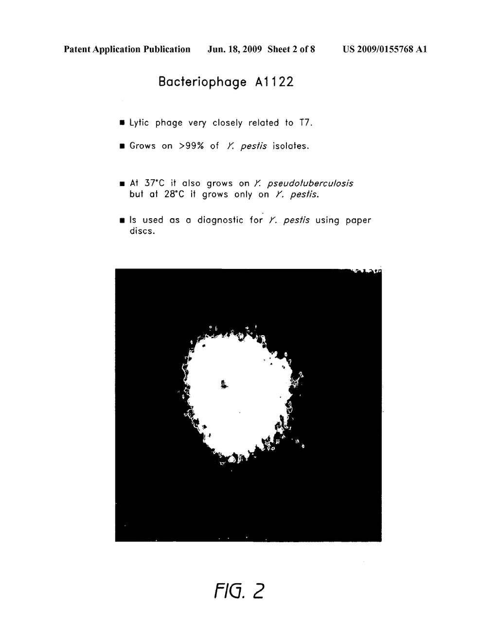 Reporter plasmid phage packaging system for detection of bacteria - diagram, schematic, and image 03