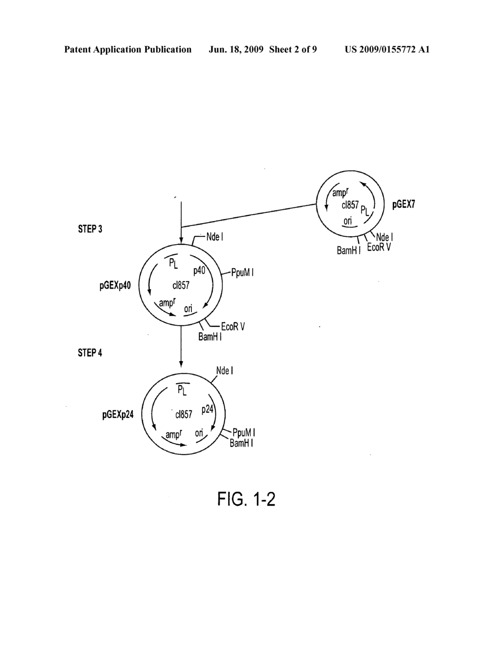 Method for detecting nanbv associated seroconversion - diagram, schematic, and image 03