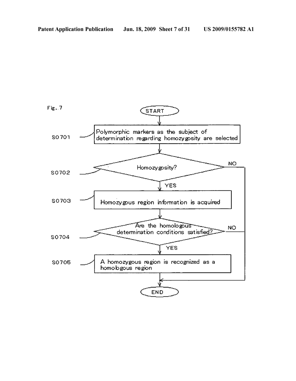 Homoeologous Region Determining Method by Homo Junction Fingerprint Method, Homoeologous Region Determining Device, and Gene Screening Method - diagram, schematic, and image 08