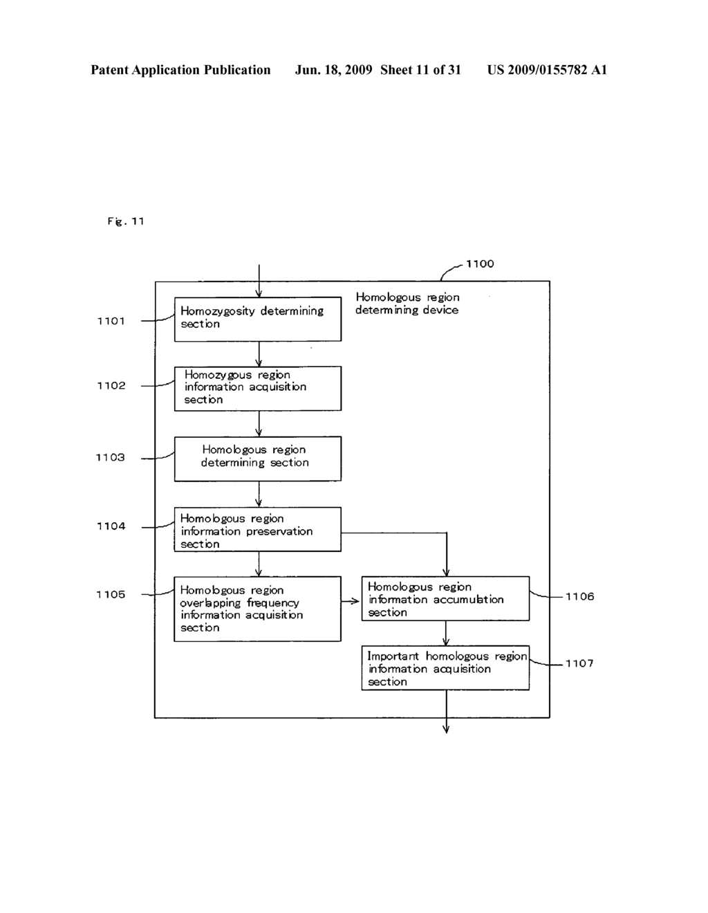 Homoeologous Region Determining Method by Homo Junction Fingerprint Method, Homoeologous Region Determining Device, and Gene Screening Method - diagram, schematic, and image 12