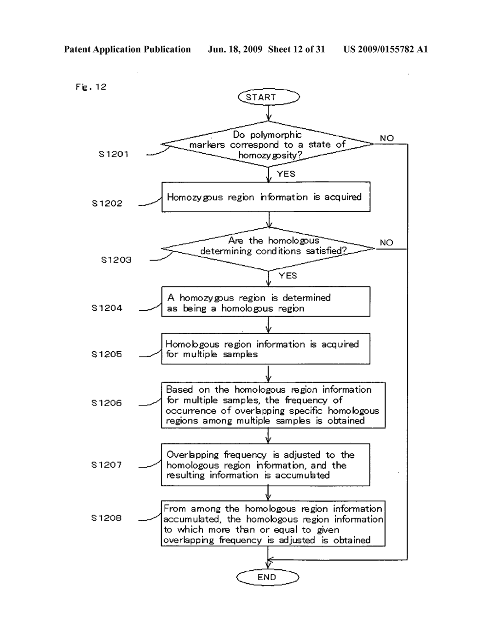 Homoeologous Region Determining Method by Homo Junction Fingerprint Method, Homoeologous Region Determining Device, and Gene Screening Method - diagram, schematic, and image 13