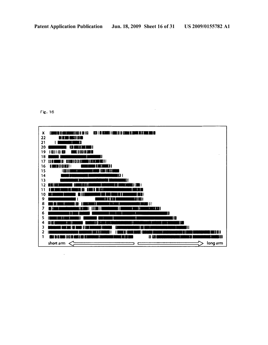 Homoeologous Region Determining Method by Homo Junction Fingerprint Method, Homoeologous Region Determining Device, and Gene Screening Method - diagram, schematic, and image 17