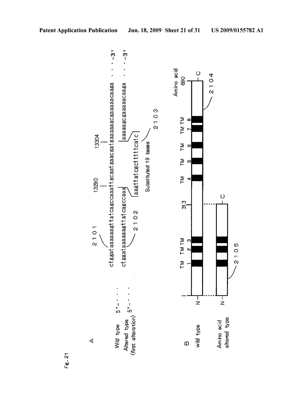 Homoeologous Region Determining Method by Homo Junction Fingerprint Method, Homoeologous Region Determining Device, and Gene Screening Method - diagram, schematic, and image 22