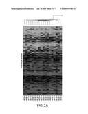 ASSESSMENT OF ASTHMA AND ALLERGEN-DEPENDENT GENE EXPRESSION diagram and image