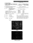 METHODS FOR DIAGNOSING PANCREATIC CANCER USING REG4 PROTEIN diagram and image