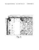 COPY NUMBER ALTERATIONS THAT PREDICT METASTATIC CAPABILITY OF HUMAN BREAST CANCER diagram and image