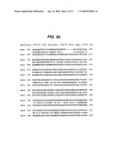 CRYSTAL STRUCTURE OF THE CARBOXYL TRANSFERASE DOMAIN OF HUMAN ACETYL-COA CARBOXYLASE 2 PROTEIN (ACC2 CT) AND USES THEREOF diagram and image