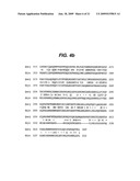 CRYSTAL STRUCTURE OF THE CARBOXYL TRANSFERASE DOMAIN OF HUMAN ACETYL-COA CARBOXYLASE 2 PROTEIN (ACC2 CT) AND USES THEREOF diagram and image