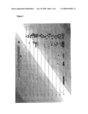 Process for diagnosing rheumatic diseases diagram and image