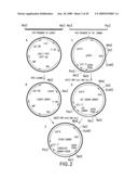 Combinatorial DNA library for producing modified N-glycans in lower eukaryotes diagram and image