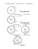 Combinatorial DNA library for producing modified N-glycans in lower eukaryotes diagram and image